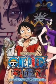 One Piece : 3D2Y : Surmonter la mort de Ace ! Le vœu de Luffy à ses amis