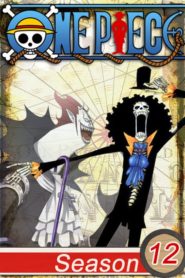 One Piece: Saison 12